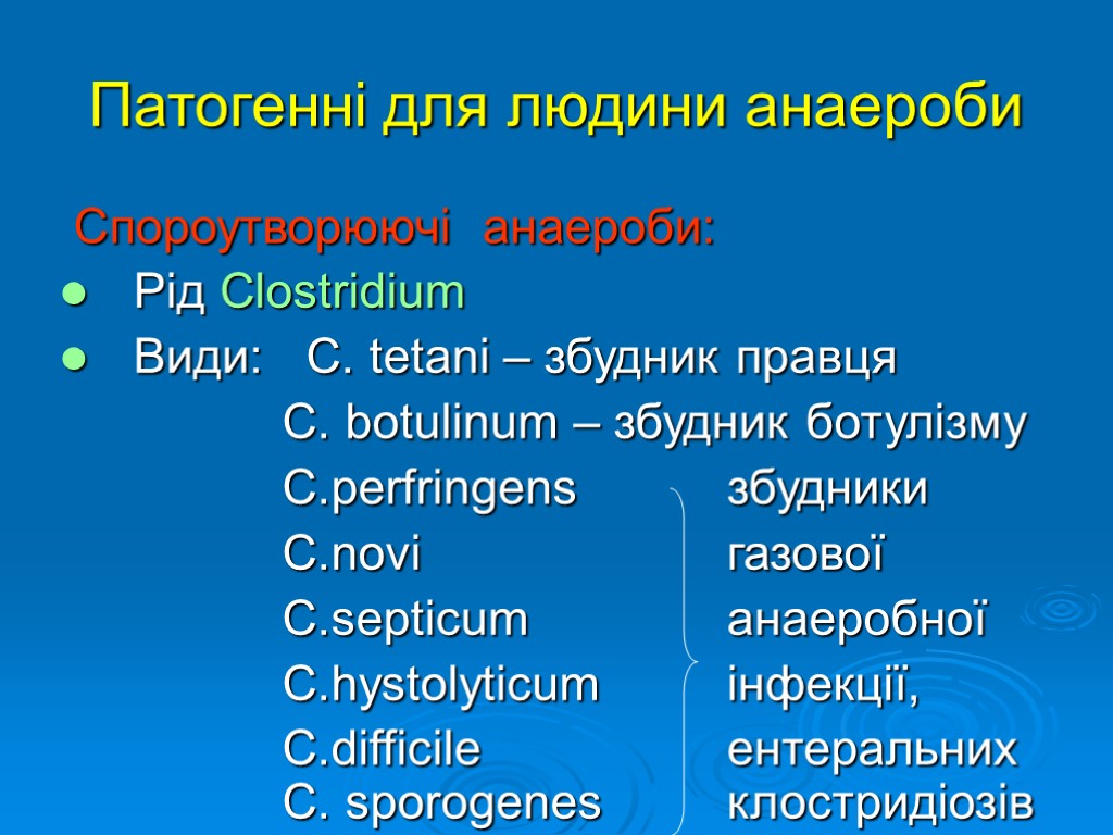 Патогенні для людини анаероби Спороутворюючі анаероби: Рід Clostridium Види: C. tetani – збудник правця